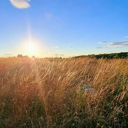 Baileys House - Part Of The The Bay Filey Village With Pool, Gym And Direct Access, Pub, Restaurant, Tennis And Meadows Walks Reighton