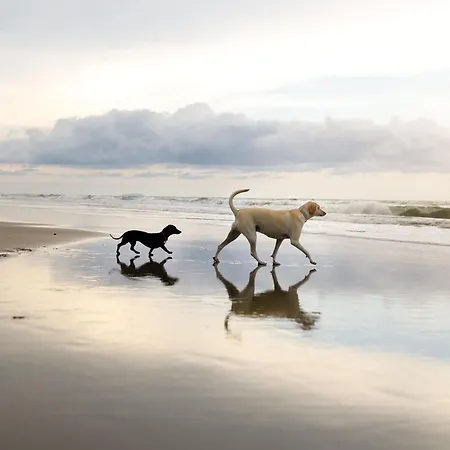 Baileys House - Part Of The The Bay Filey Village With Pool, Gym And Direct Access, Pub, Restaurant, Tennis And Meadows Walks Ferienhaus *